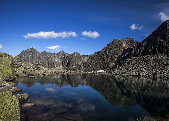 Julia レンゲンフェルト